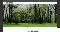 Desktop Screenshot of detunized.com